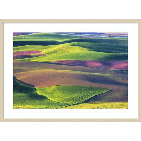 USA, Washington State, Palouse, Spring Rolling Hills of Wheat fields by Terry Eggers Danita Delimont Wood Framed Wall Art Print