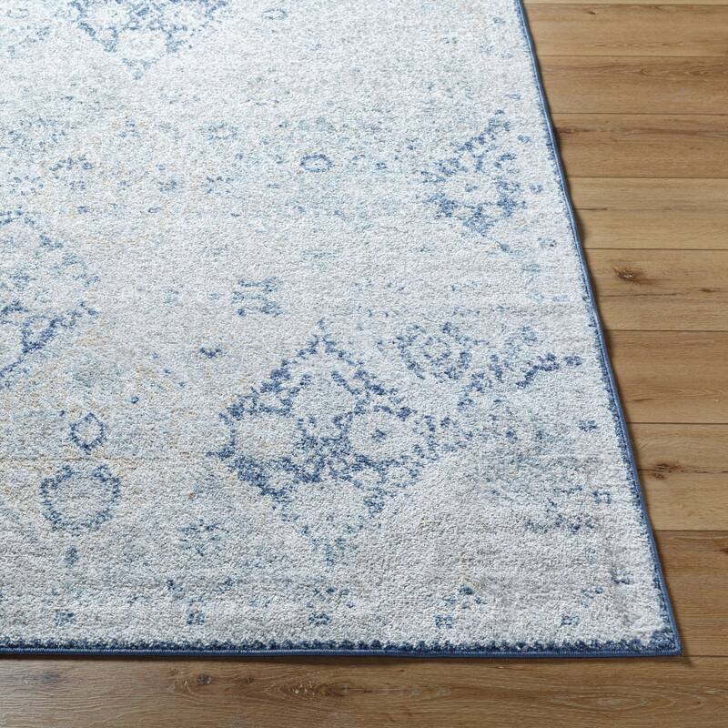 Livabliss Harput Transitional Medallion Area Rug