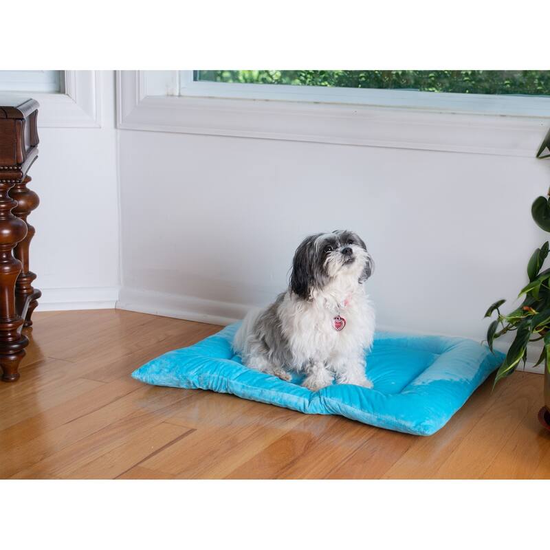 Pet Bed Mat, Dog Crate Soft Pad With Poly Fill Cushion - Medium - Sky Blue