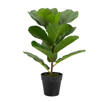 Potted Tall Artificial Fiddle Leaf Fig Tree - 21.75"