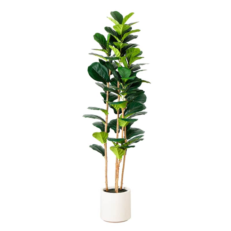 Fiddle Leaf Artificial Potted Tree in Planter - 6'