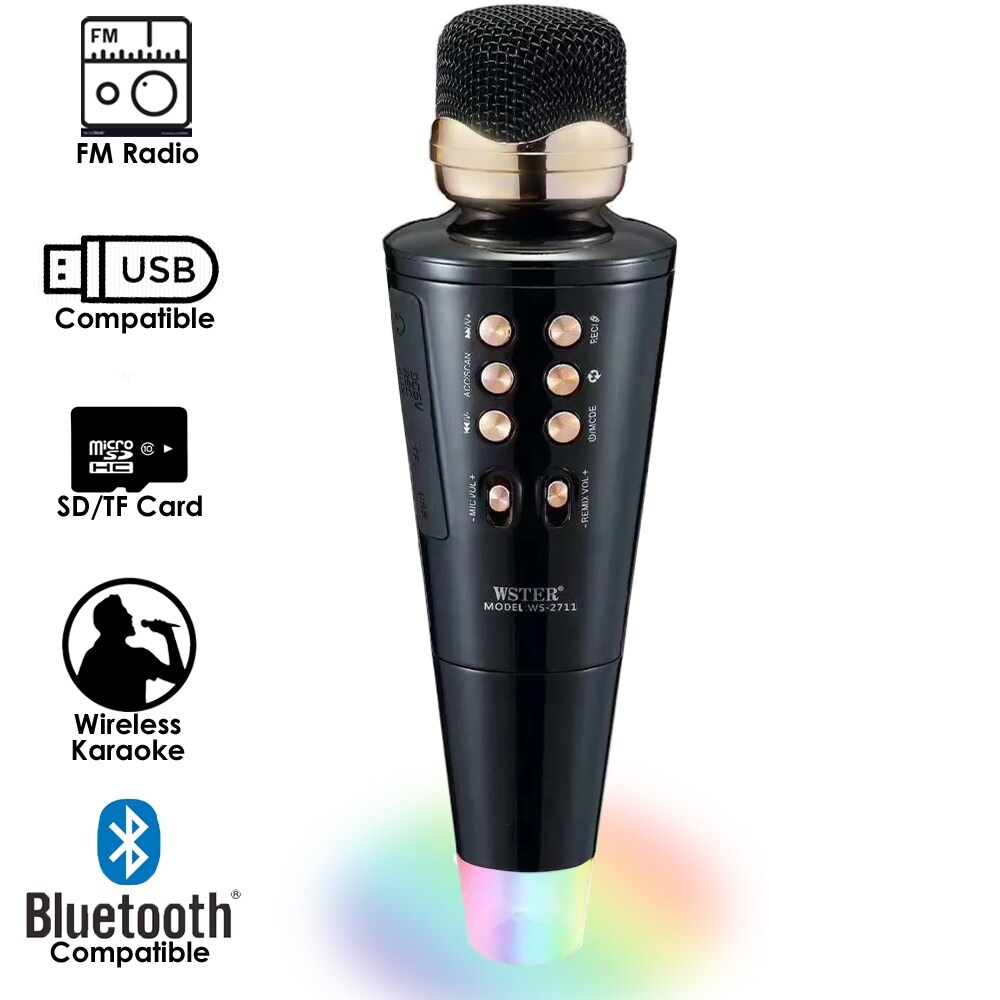 i dance karaoke speaker and microphone