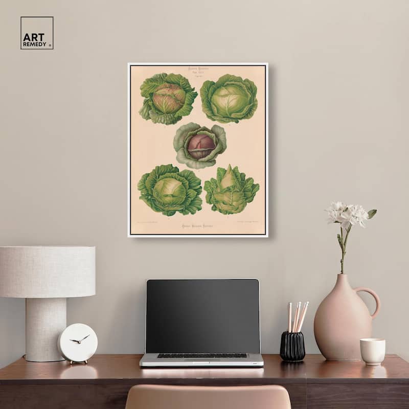 Cabbages by Benary 1876 Canvas by Art Remedy