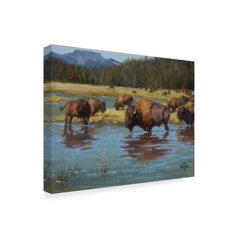 Jack Sorenson 'Buffalo Crossing' Canvas Art
