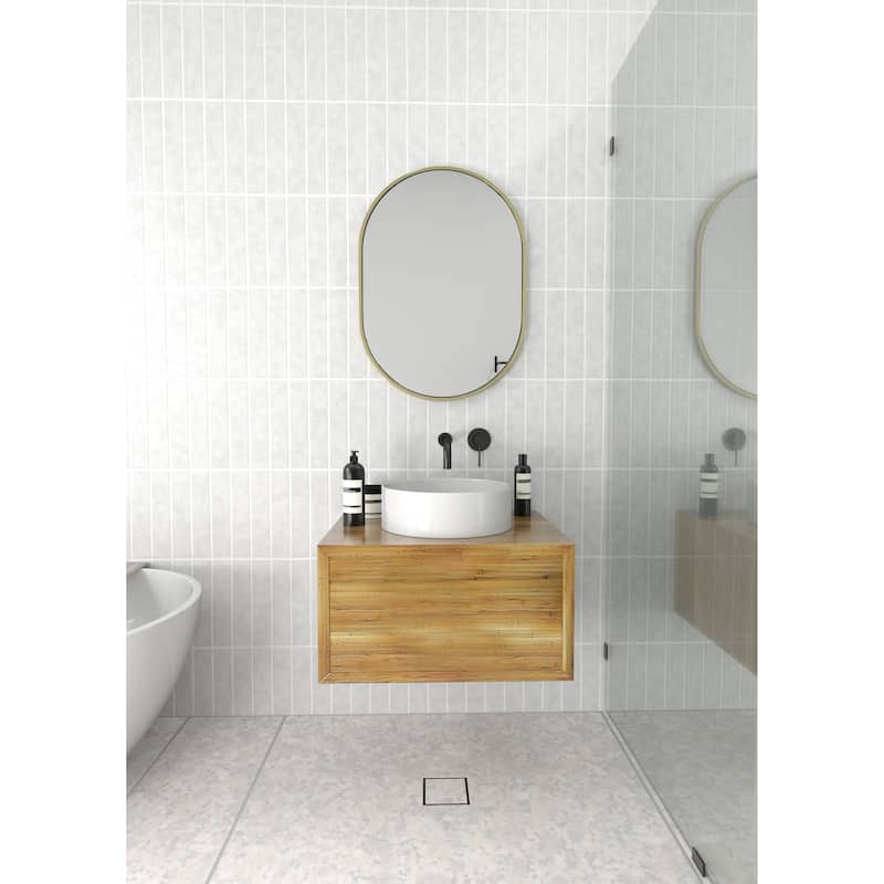 Glass Warehouse 28 in. H x 20 in. W Pill Shape Stainless Steel Framed Mirror