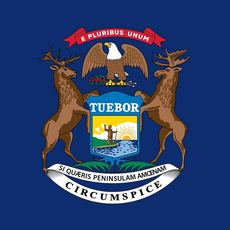 3'x5' State of Michigan Outdoor Nylon Flag