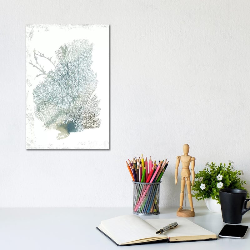 iCanvas "Teal Delicate Coral II " by Aimee Wilson Canvas Print - 12x8x0.75