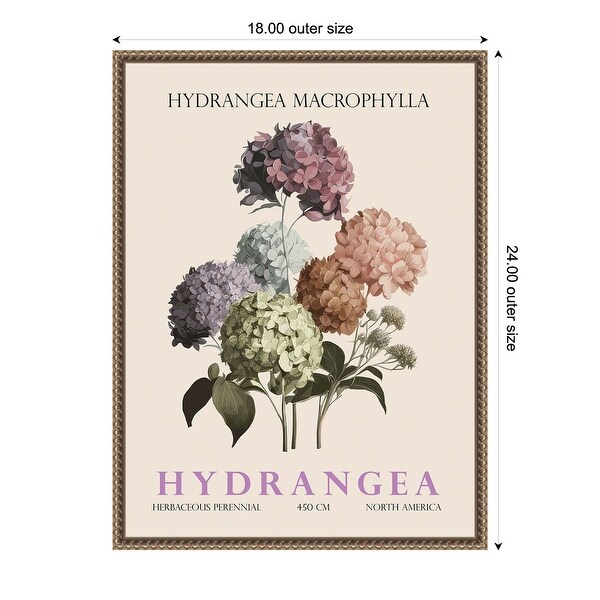 Vintage Botanical Hydrangea Illustration by Christopher Giampietro