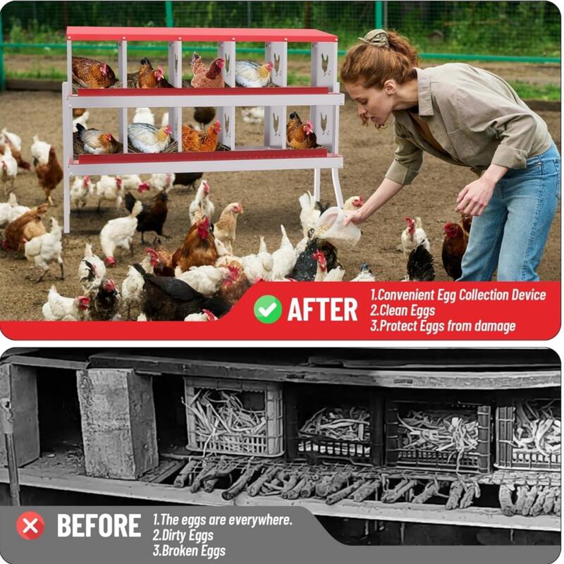 Chicken Nesting Box Nesting Boxes