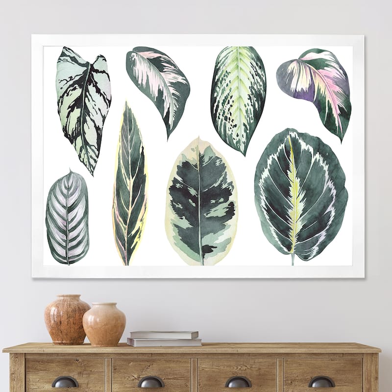 Designart "Tropical Calathea Leaves" Bohemian & Eclectic Framed Art Print - 40 In. Wide x 30 In. High - White