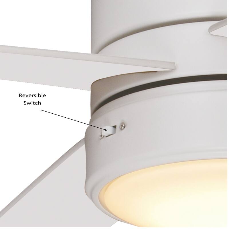 Erie Flush Mount Ceiling Fan with LED Light Kit and Remote