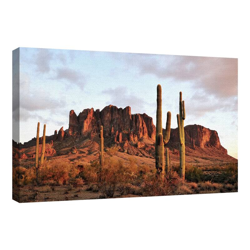 Amber Desertscape by Belle Maison Canvas Art Print