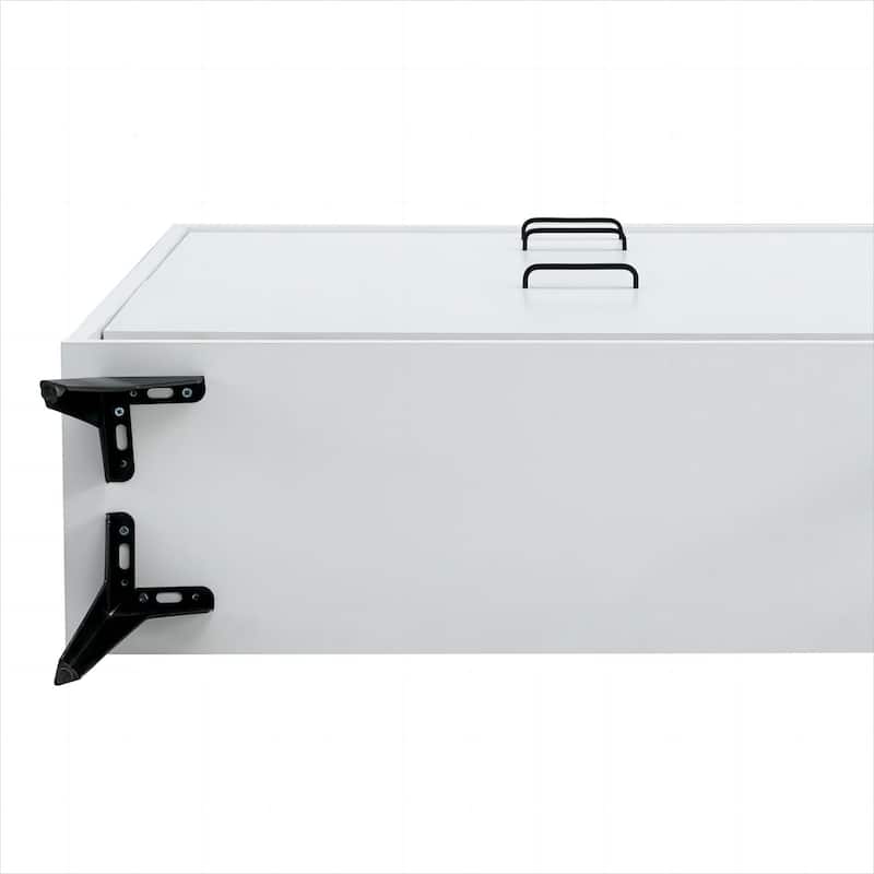 GEITIN Shoe Storage Cabinet with Shelves