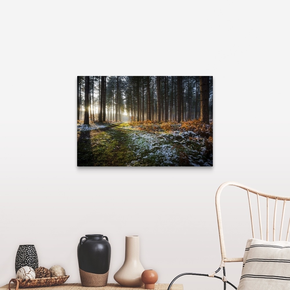 Shop Winter Woodland Sunset Strawberry Hill Nottinghamshire