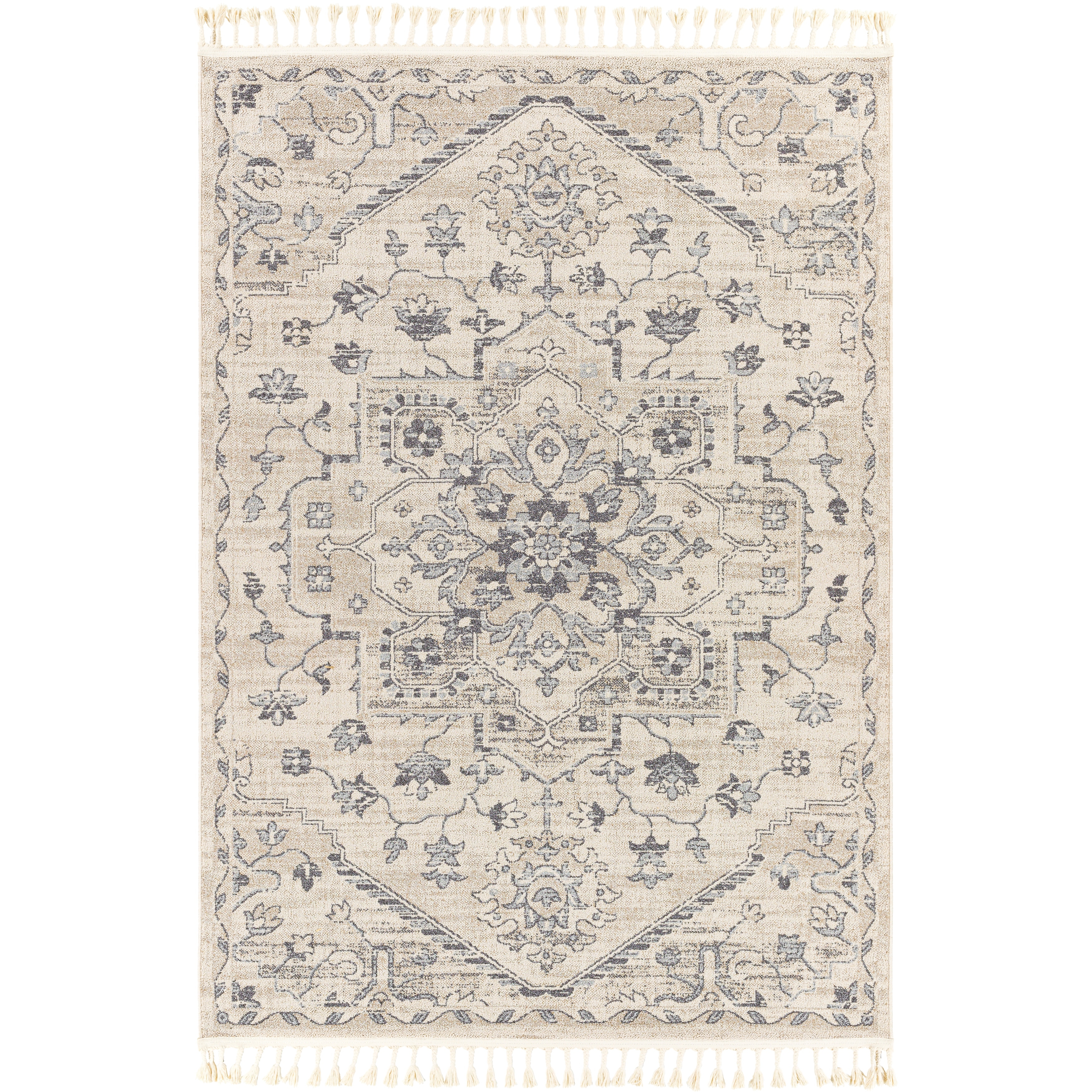 Jirar 5'3 x 7' Rug