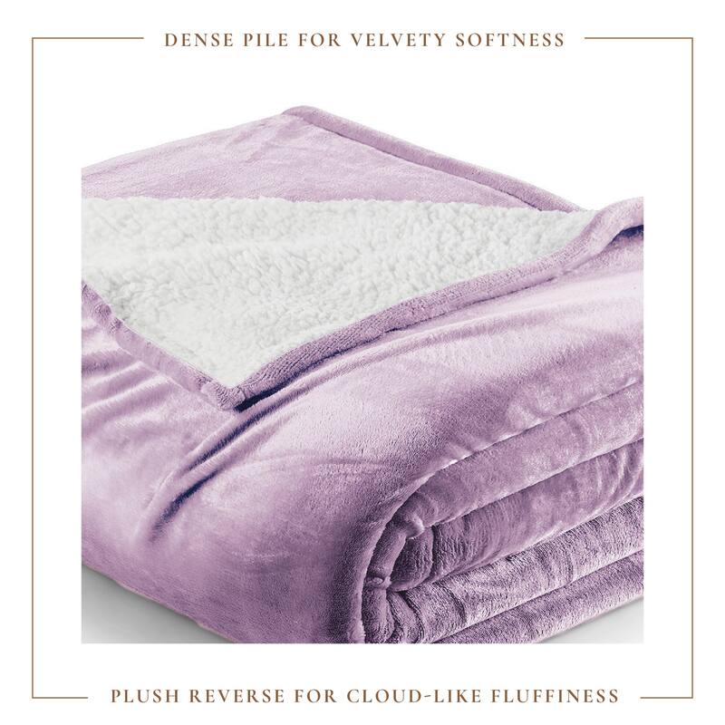 Linery & Co. Velvet Plush Reversible Sherpa Bed Blanket