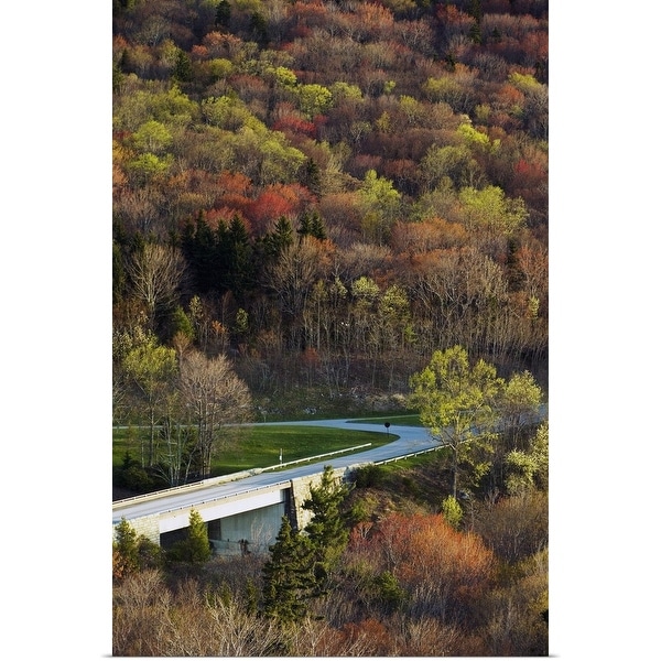 "High angle view of Blue Ridge Parkway winding through trees, spring, North Carolina" Poster Print