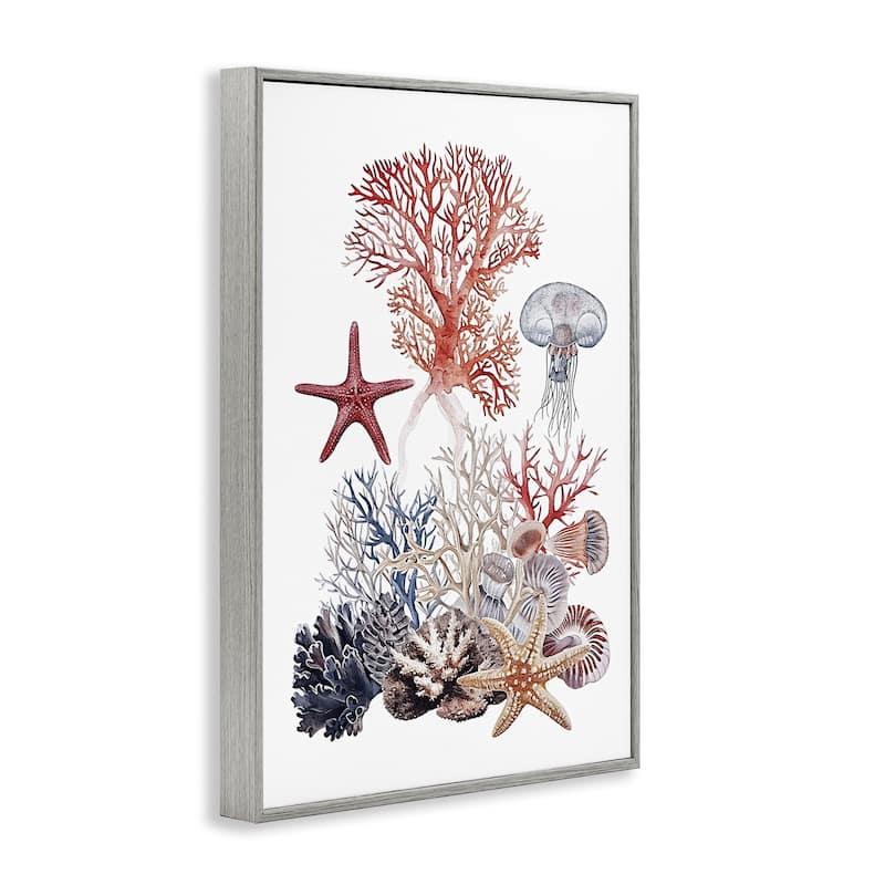 Stupell Aquatic Animals & Coral Framed Giclee Art Design By Ramona Murdock