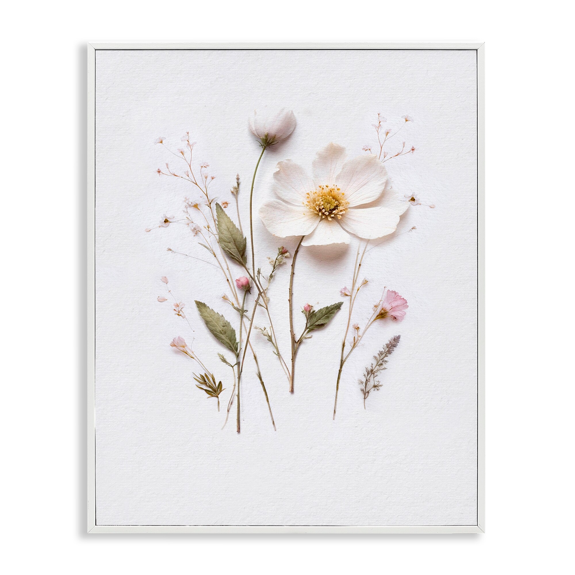 Stupell Delicate Pressed Flower Sprigs Framed Giclee Art Design By Lettered and Lined