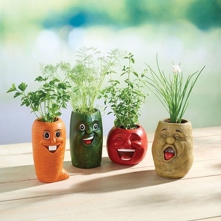 Funny Veggie Herb Pot Vegetable-Shaped Planters - Bed Bath & Beyond -  39887640