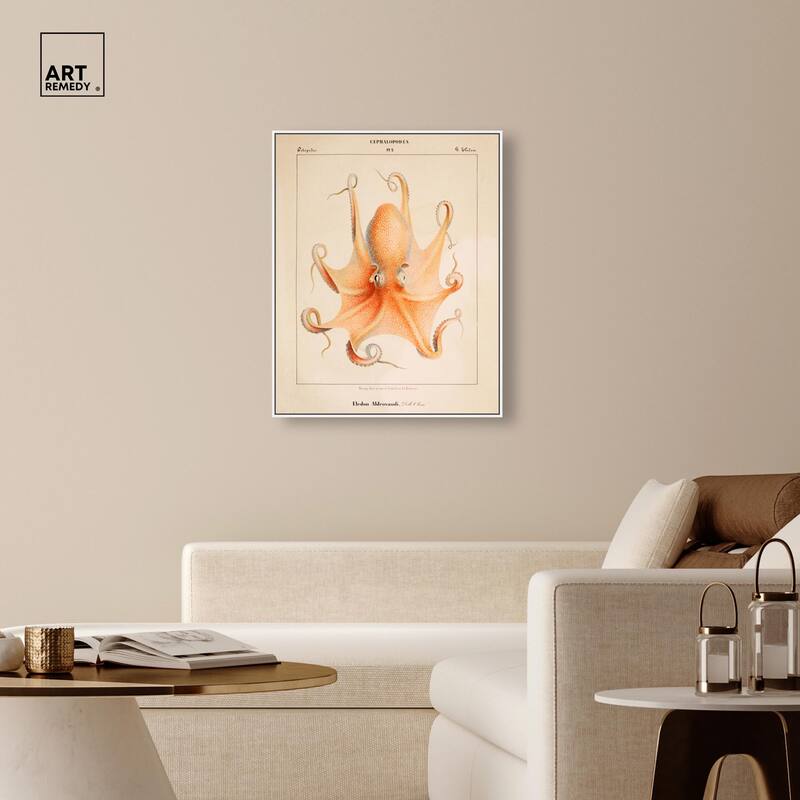 Verany The Octopus 1815 II Canvas by Art Remedy