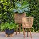 Set of 2 Wicker Footed Planters 10, 12", Natural 23"H - 12.0" x 12.0" x 23.0" - Brown - 12.0" x 12.0" x 23.0"