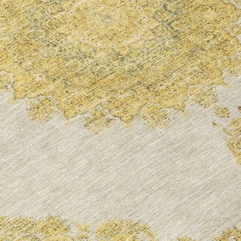 Machine Washable Indoor/ Outdoor Vintage Traditional Chantille Rug