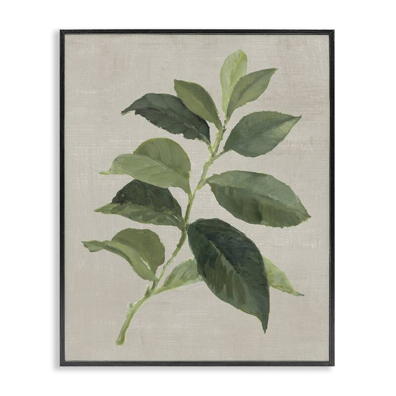 Stupell Arabica Coffee Plant Leaf Framed Giclee Art Design By Lanie Loreth - 16 x 20 - Black