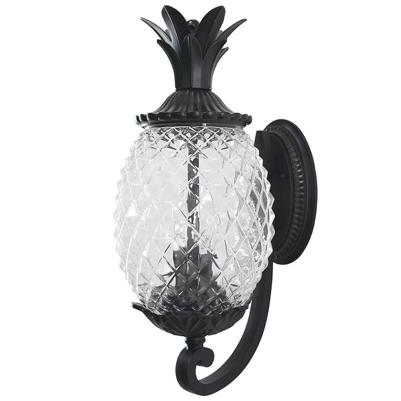 Lanai 2-light Outdoor Matte Black Wall Lantern
