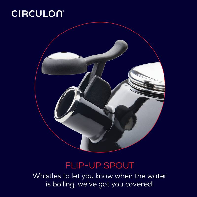 2-Quart Enamel on Steel Whistling Teakettle/Teapot With Flip-Up Spout, Black