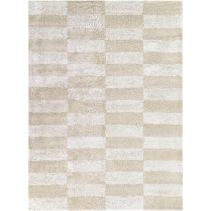 Lionel Checkered Recycled Area Rug - 5'3" x 7' - Beige