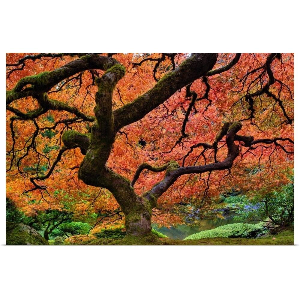 Japanese Maple Trees Poster Art Print Oregon Portland Tree Home Decor Home Decor Posters Prints Vintage Sea Life Home Decor Posters Prints
