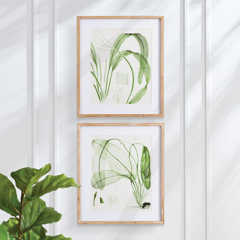 Aquatic Leaf Prints, Set Of 2