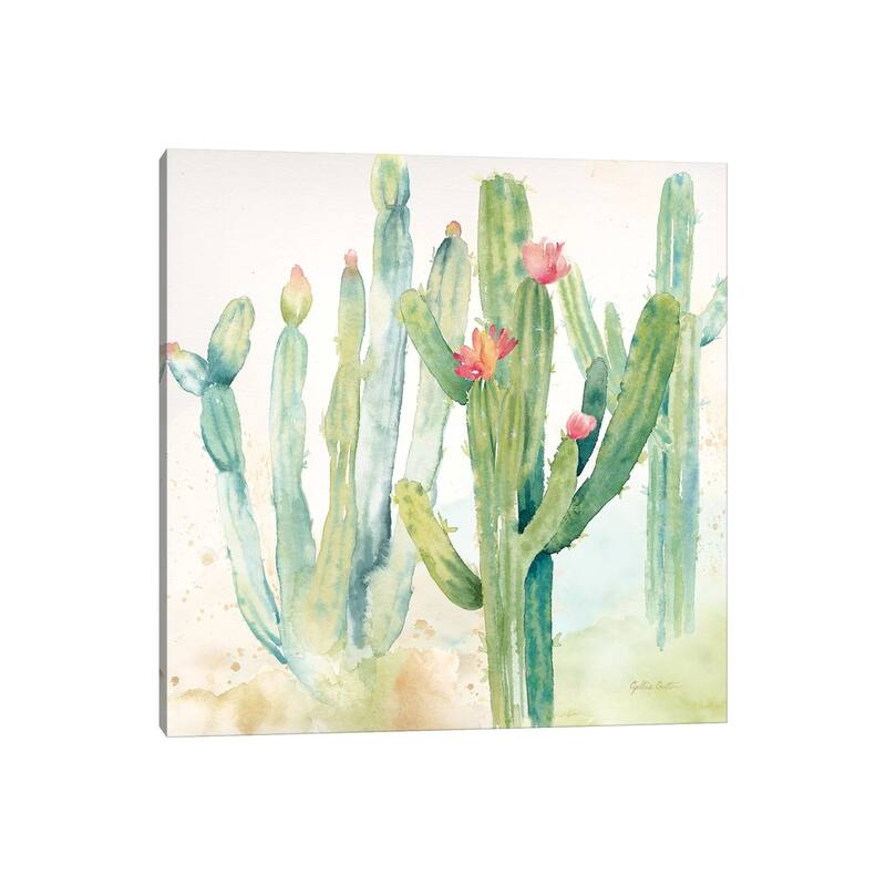 iCanvas "Cactus Garden II" by Cynthia Coulter Canvas Print