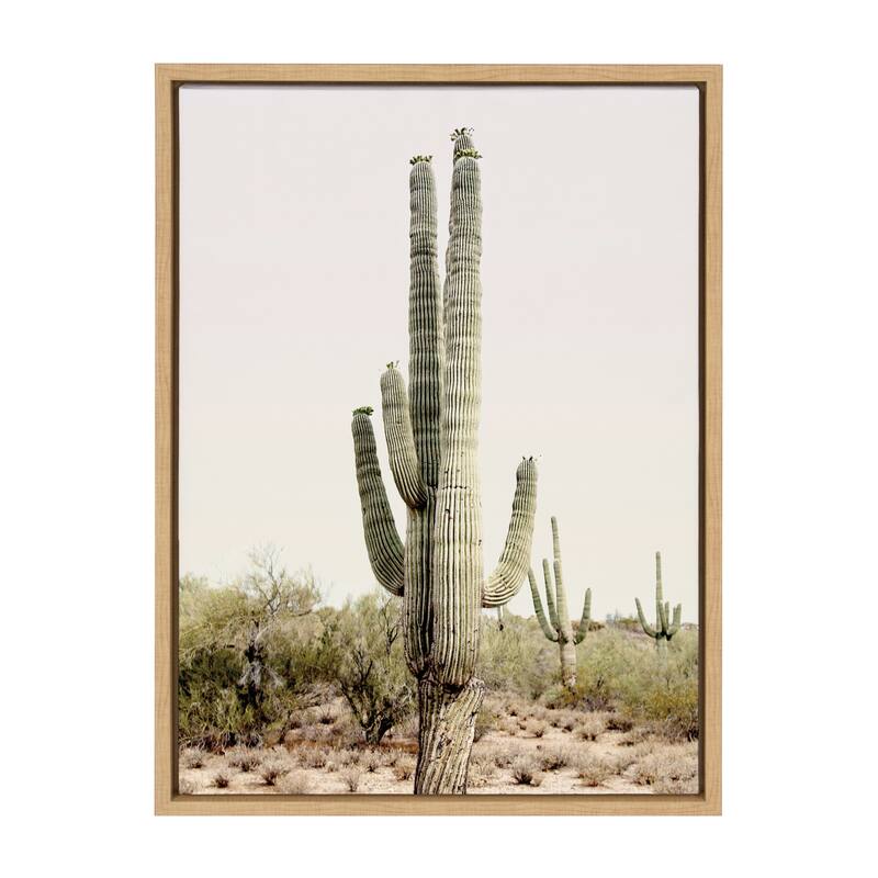 Kate and Laurel Sylvie Sunrise Cactus Framed Canvas by Amy Peterson