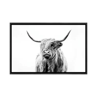 iCanvas "Portrait Of A Highland Cow" by Dorit Fuhg Framed