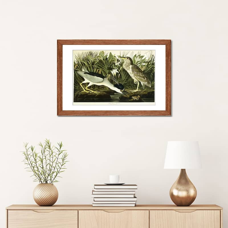 iCanvas "Night Heron or Lua Bird, 1835 " by John James Audubon