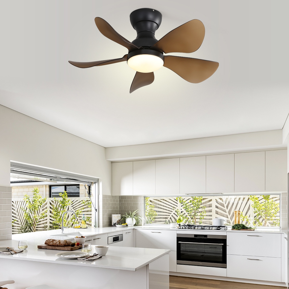 Fan lights deals