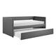 Option Dark Gray