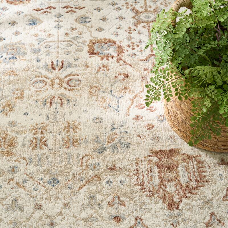 Nourison Pardis Indoor only Cream / Ivory Persian Area Rug
