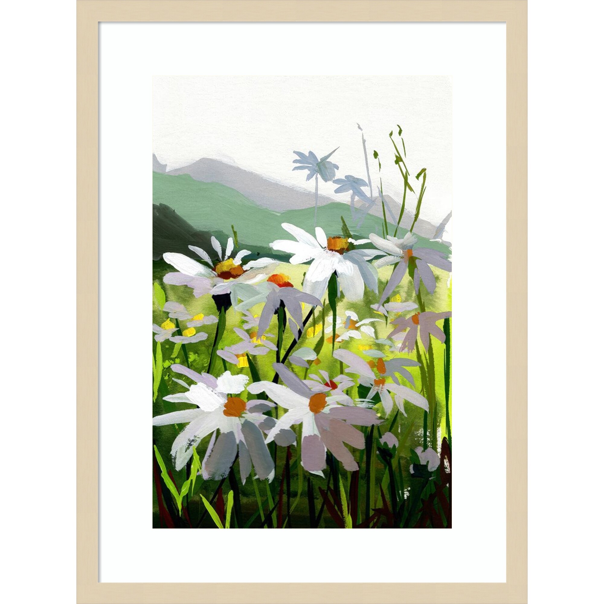 Daisies 1 by Brook Page Wood Framed Wall Art Print