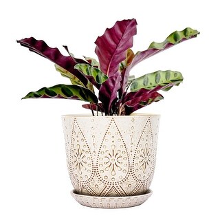 フラワー・ガーデニング P-CHAMBER.SRLMEX-S P-P POT neighborhood 8 Inch Plant Pot, Creamy White Ceramic Planter with Drainage Holes