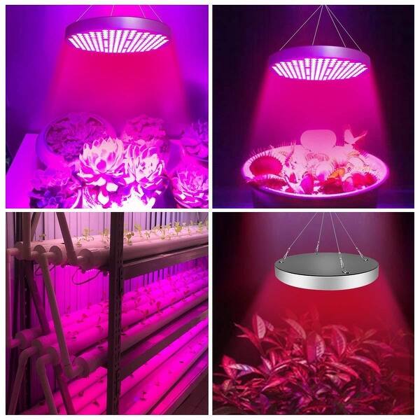50W LED Grow Lights with UV IR, Full Spectrum Grow Lamp Bulbs for Indoor  Plants, Seedling,Vegetables,Flowers and Fruits - Bed Bath & Beyond -  23501795
