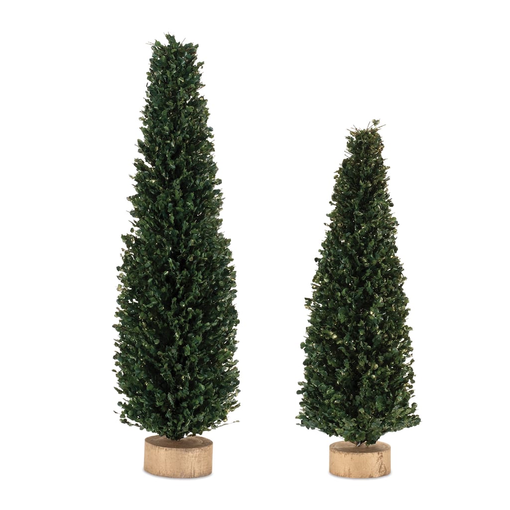 Set of 2 Glittered Boxwood Christmas Trees with Natural Wood Bases - 5.25” x 5.25” x 16”