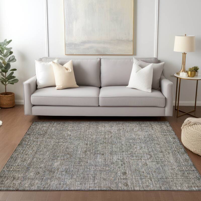 Machine Washable Indoor/ Outdoor Chantille Distressed Traditional Rug