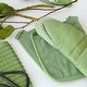 preview thumbnail 30 of 32, RITZ Cotton Terry Pocket Mitts (Set of 2)