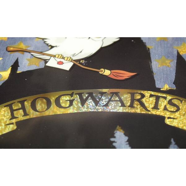 Harry Potter Hedwig Owl Delivery Lunch bag