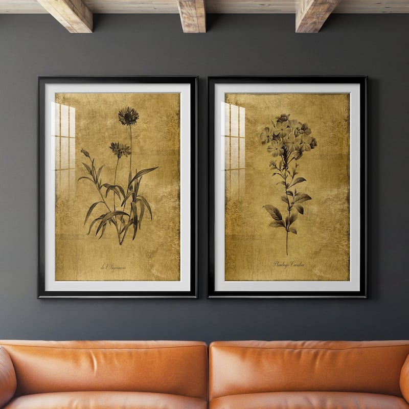 Gold Sketch Botanical I Premium Framed Print - Ready to Hang