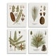 preview thumbnail 1 of 10, Stupell Vintage Forest Pine Illustrated Study Green Brown Plants 4pc Multi Piece Wood Wall Art Set - White 13 x 19
