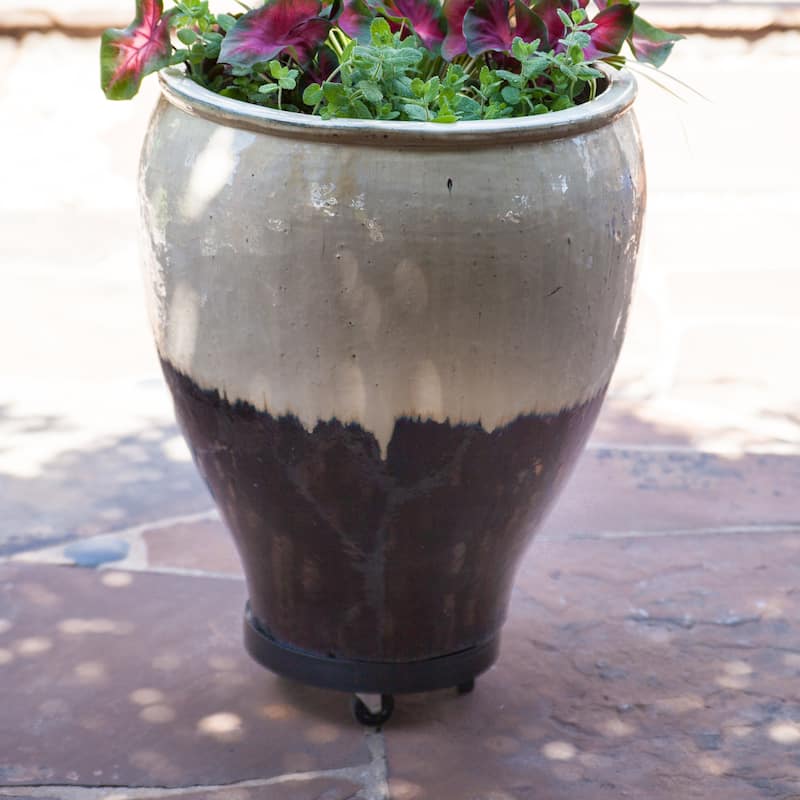 Black Plastic 12-inch Plant Dolly with Hole